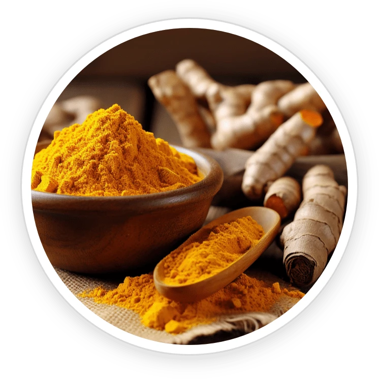 NanoDefense Pro Ingredient Nano-Curcumin