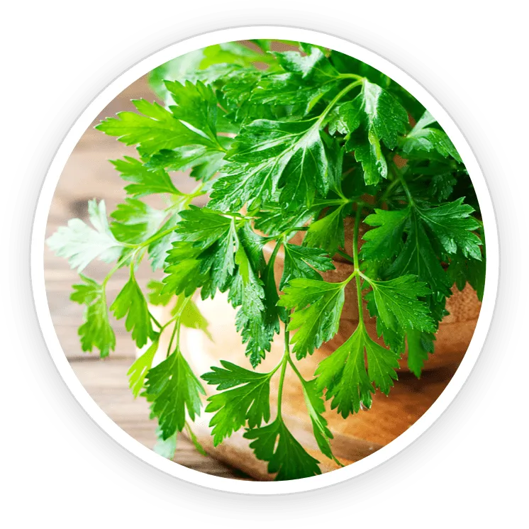 NanoDefense Pro Ingredient Luteolin